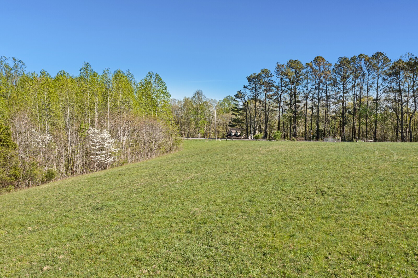 5522 Parker Branch Road Franklin, TN 37064 - Photo 3 of 19