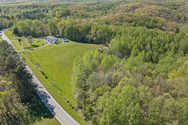a view of a yard with potted plants