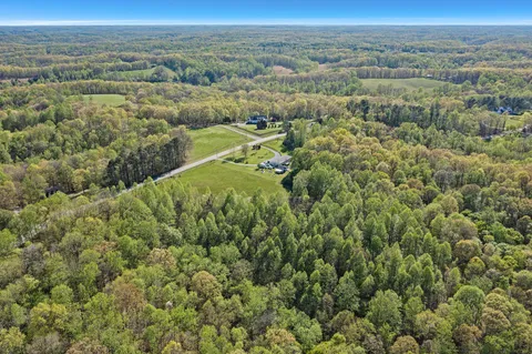 an aerial view of forest