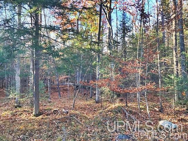81-acres Wontor Road Amberg, WI 54102 - Photo 10 of 13 Gallery Image 10