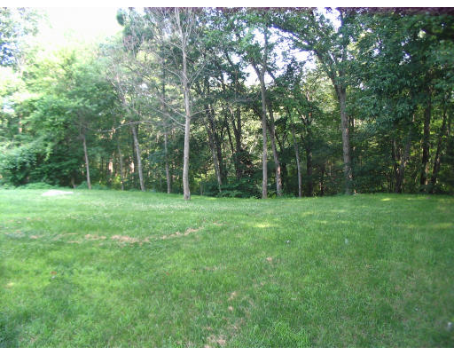 238 Cordaville Road Ashland, MA 01721 - Photo 13 of 13 a view of green field with trees in the background
