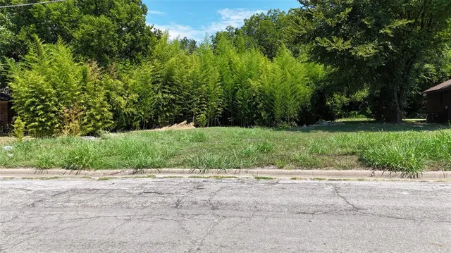 a view of backyard with green space
