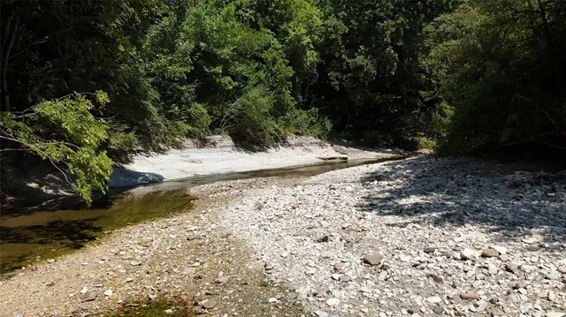 a view of a yard with a tree