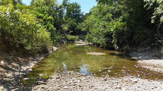 a view of a lake with a tree
