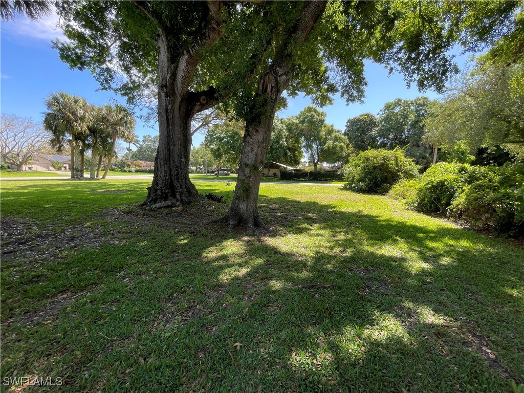 200 Ridgewood Avenue Clewiston, FL 33440 - Photo 23 of 50 a view of a tree in a yard
