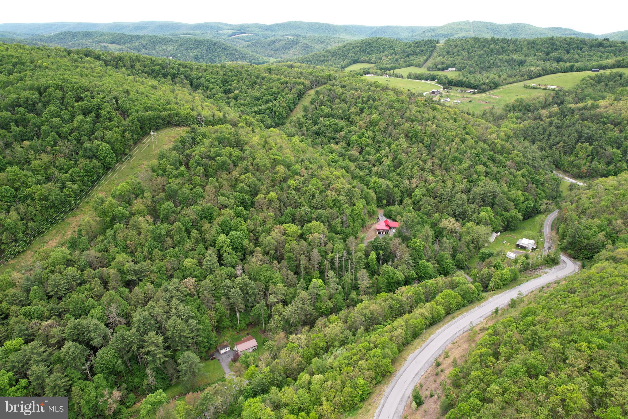 904 Moose Run Road Bellefonte, PA 16823 - Photo 3 of 62