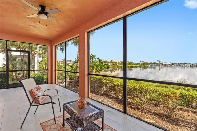 a view of a backyard with plants and palm tree