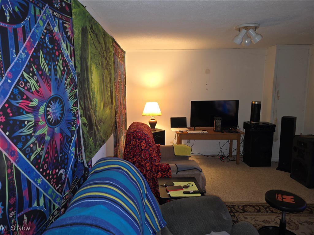 1516 Scenic Way Akron, OH 44310 - Photo 8 of 10 Living area with carpet flooring