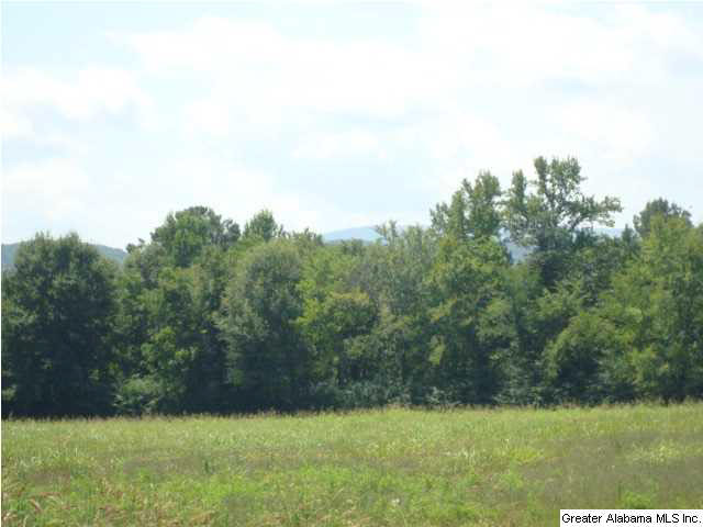 Mcintosh Road, Unit 53 Oxford, AL 36203 - Photo 16 of 29