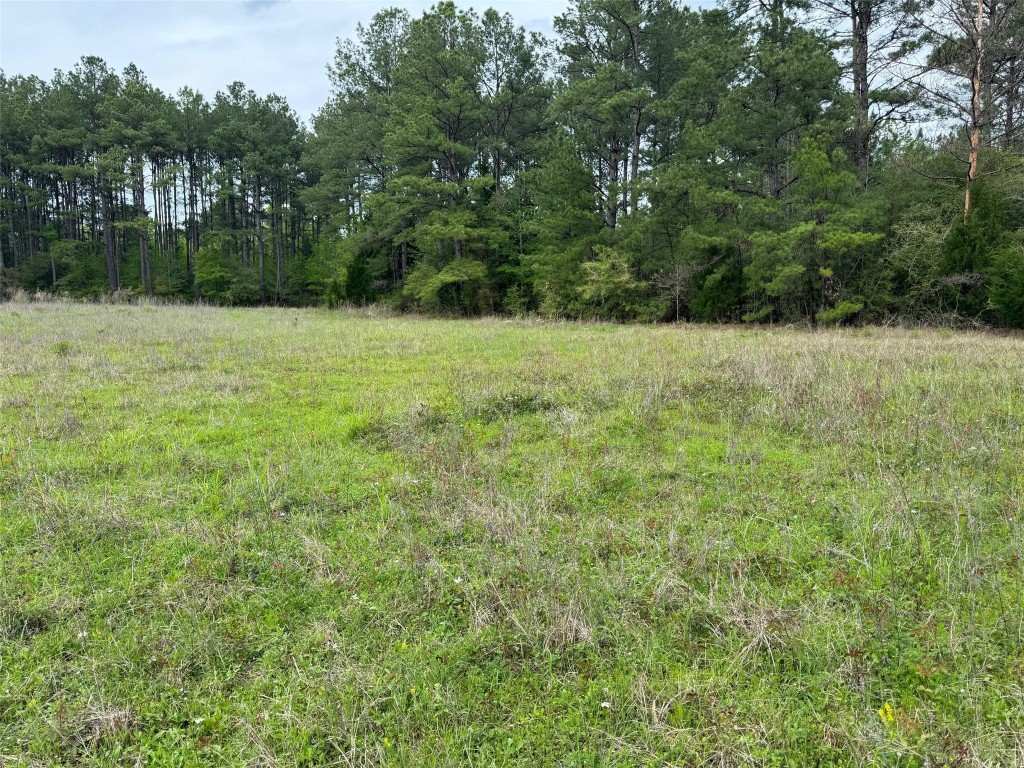10586 Holland Road Kountze, TX 77625 - Photo 1 of 20 a view of backyard with green space