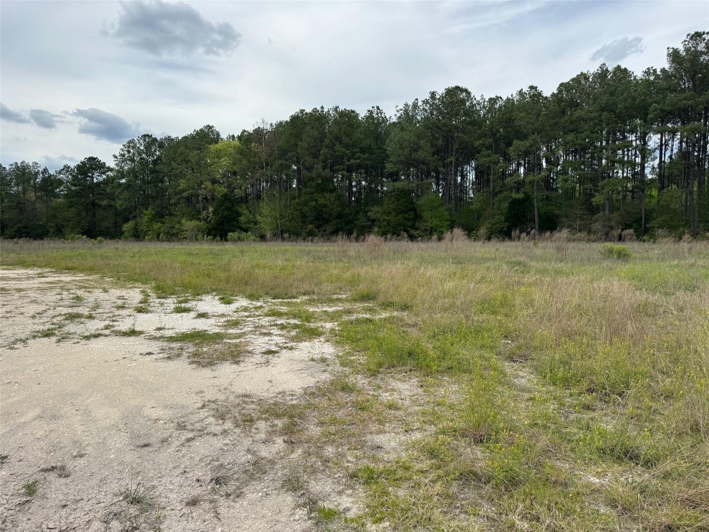 10586 Holland Road Kountze, TX 77625 - Photo 18 of 20 a view of a yard with a tree
