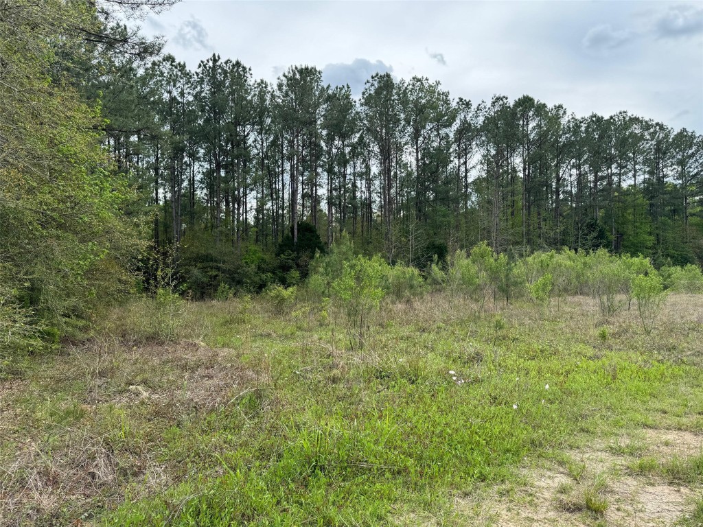10586 Holland Road Kountze, TX 77625 - Photo 2 of 20 a view of outdoor space and green field