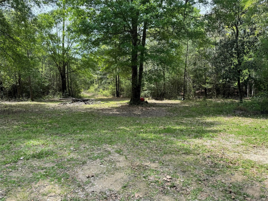 10586 Holland Road Kountze, TX 77625 - Photo 3 of 20 a view of outdoor space with trees all around