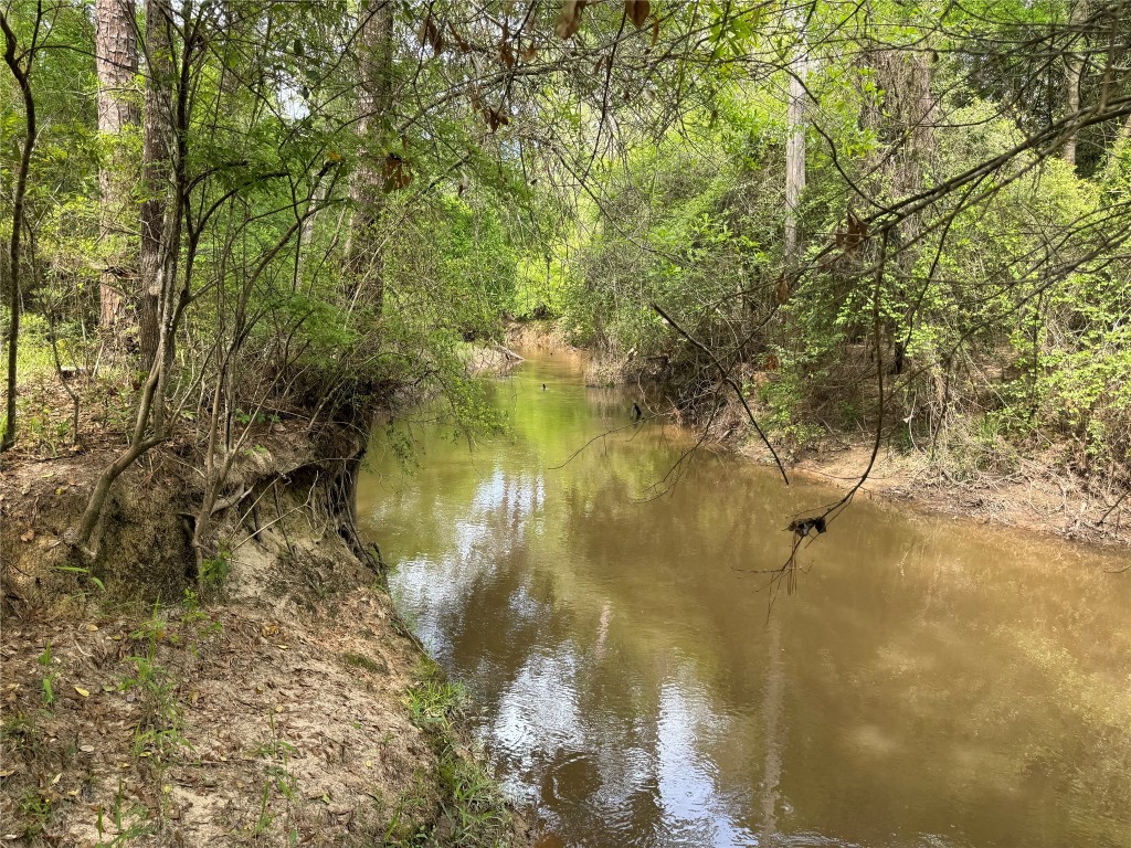 10586 Holland Road Kountze, TX 77625 - Photo 5 of 20 a view of a lake