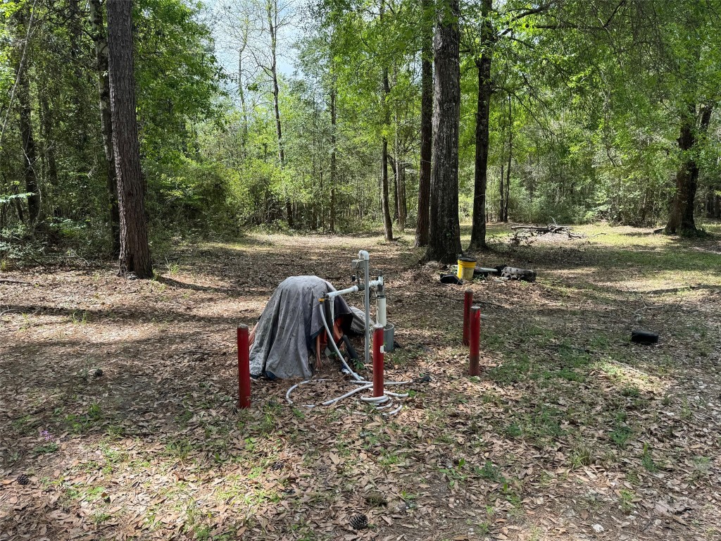 10586 Holland Road Kountze, TX 77625 - Photo 6 of 20 a view of a park with large trees