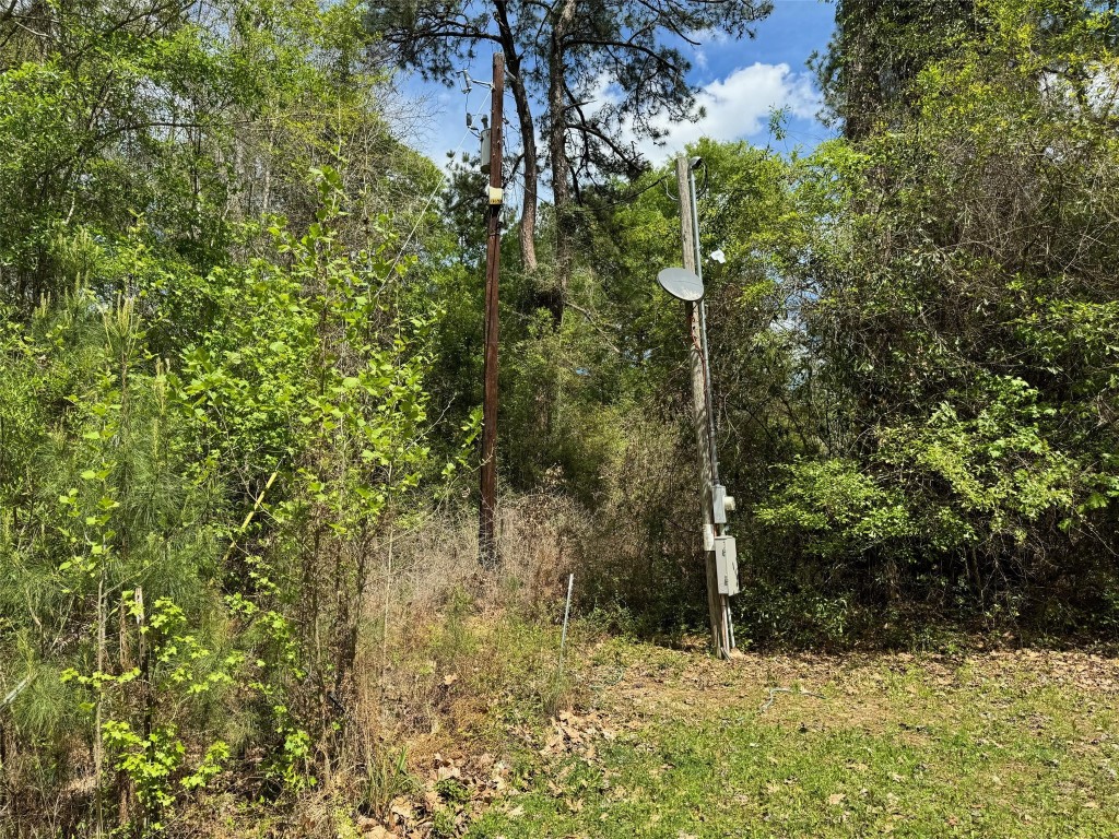 10586 Holland Road Kountze, TX 77625 - Photo 8 of 20 a street view and covered with trees