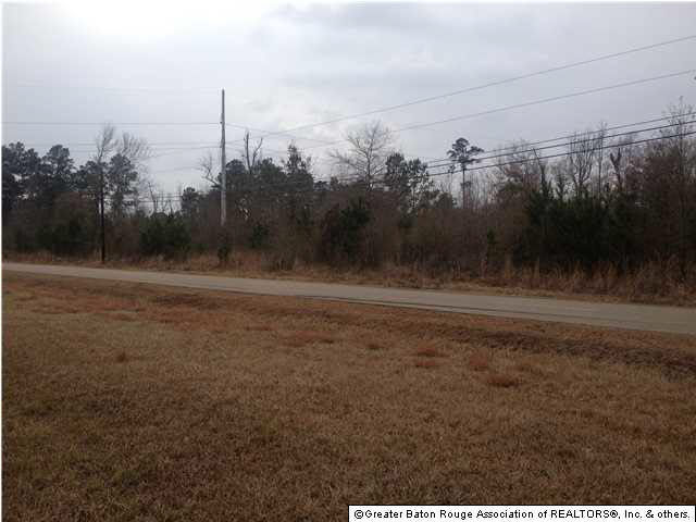 0 Lee Hughes Road Hammond, LA 70401 - Photo 4 of 4 Gallery Image 4