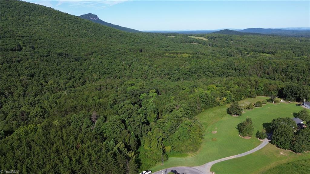 1 Hanging Rock Forest Road, Unit TRACT D (14AC) Danbury, NC 27016 - Photo 1 of 24