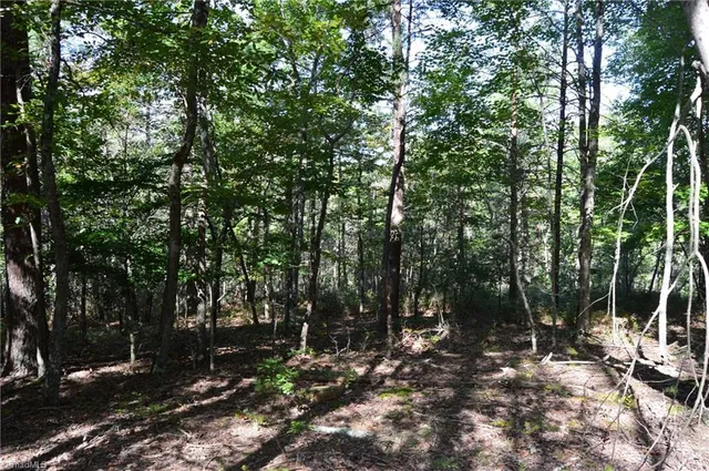 $175,000 | 1 Hanging Rock Forest Road, Unit TRACT D (14AC), Danbury, NC 27016