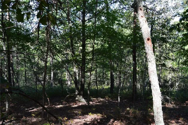 $175,000 | 1 Hanging Rock Forest Road, Unit TRACT D (14AC), Danbury, NC 27016