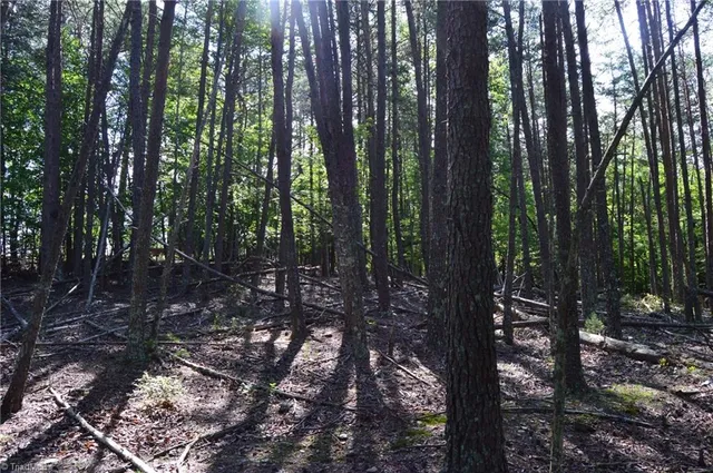 $175,000 | 1 Hanging Rock Forest Road, Unit TRACT D (14AC), Danbury, NC 27016