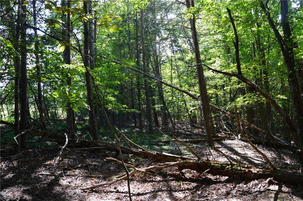 1 Hanging Rock Forest Road, Unit TRACT D (14AC) Danbury, NC 27016 - Photo 15 of 24