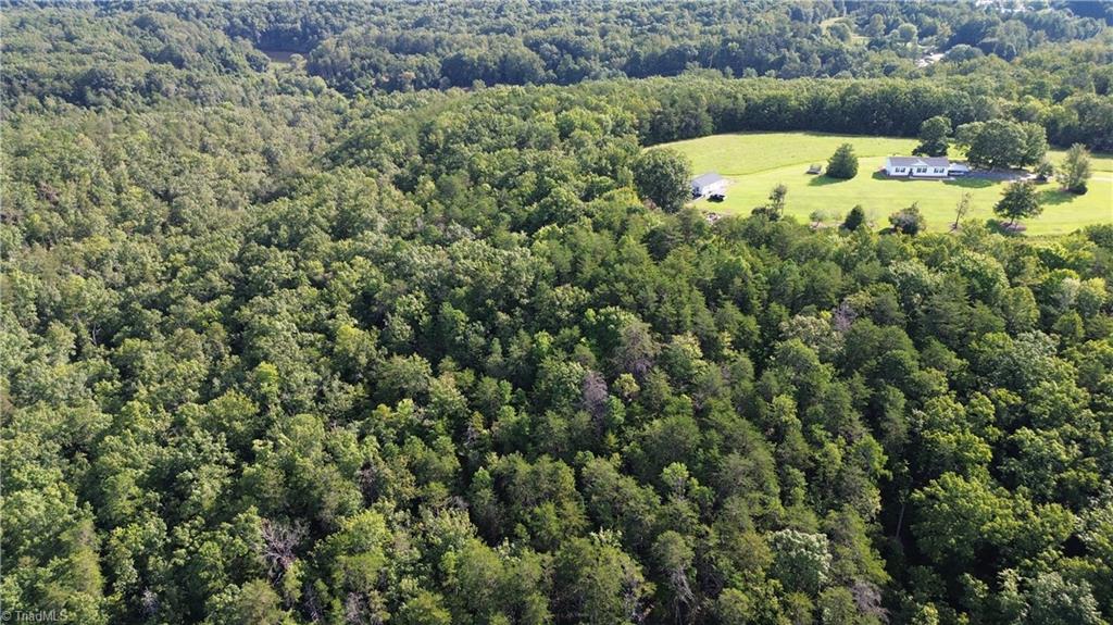 1 Hanging Rock Forest Road, Unit TRACT D (14AC) Danbury, NC 27016 - Photo 16 of 24