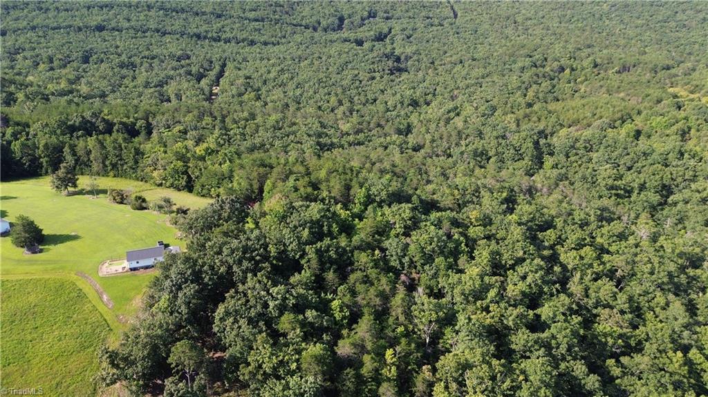 1 Hanging Rock Forest Road, Unit TRACT D (14AC) Danbury, NC 27016 - Photo 17 of 24