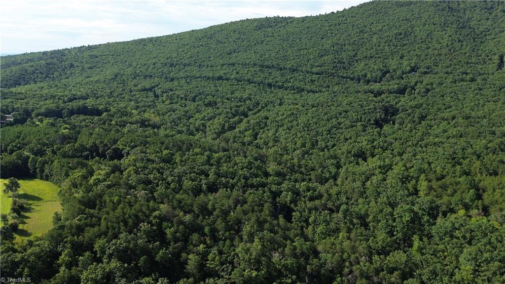 1 Hanging Rock Forest Road, Unit TRACT D (14AC) Danbury, NC 27016 - Photo 18 of 24