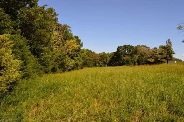 $175,000 | 1 Hanging Rock Forest Road, Unit TRACT D (14AC), Danbury, NC 27016