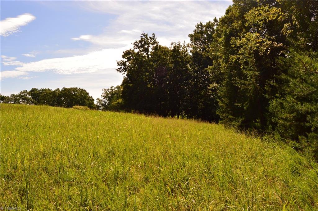 1 Hanging Rock Forest Road, Unit TRACT D (14AC) Danbury, NC 27016 - Photo 4 of 24