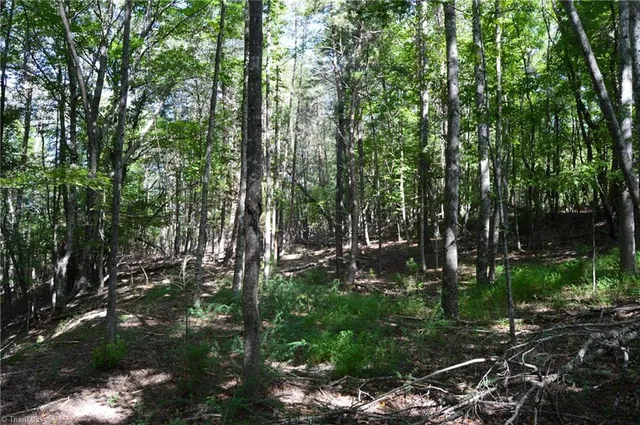 $175,000 | 1 Hanging Rock Forest Road, Unit TRACT D (14AC), Danbury, NC 27016