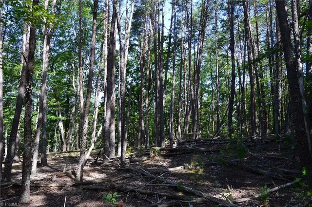 $175,000 | 1 Hanging Rock Forest Road, Unit TRACT D (14AC), Danbury, NC 27016