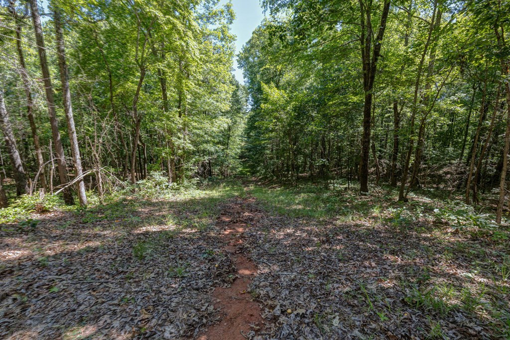 231 Lower Lovelace Road West Point, GA 31833 - Photo 27 of 49