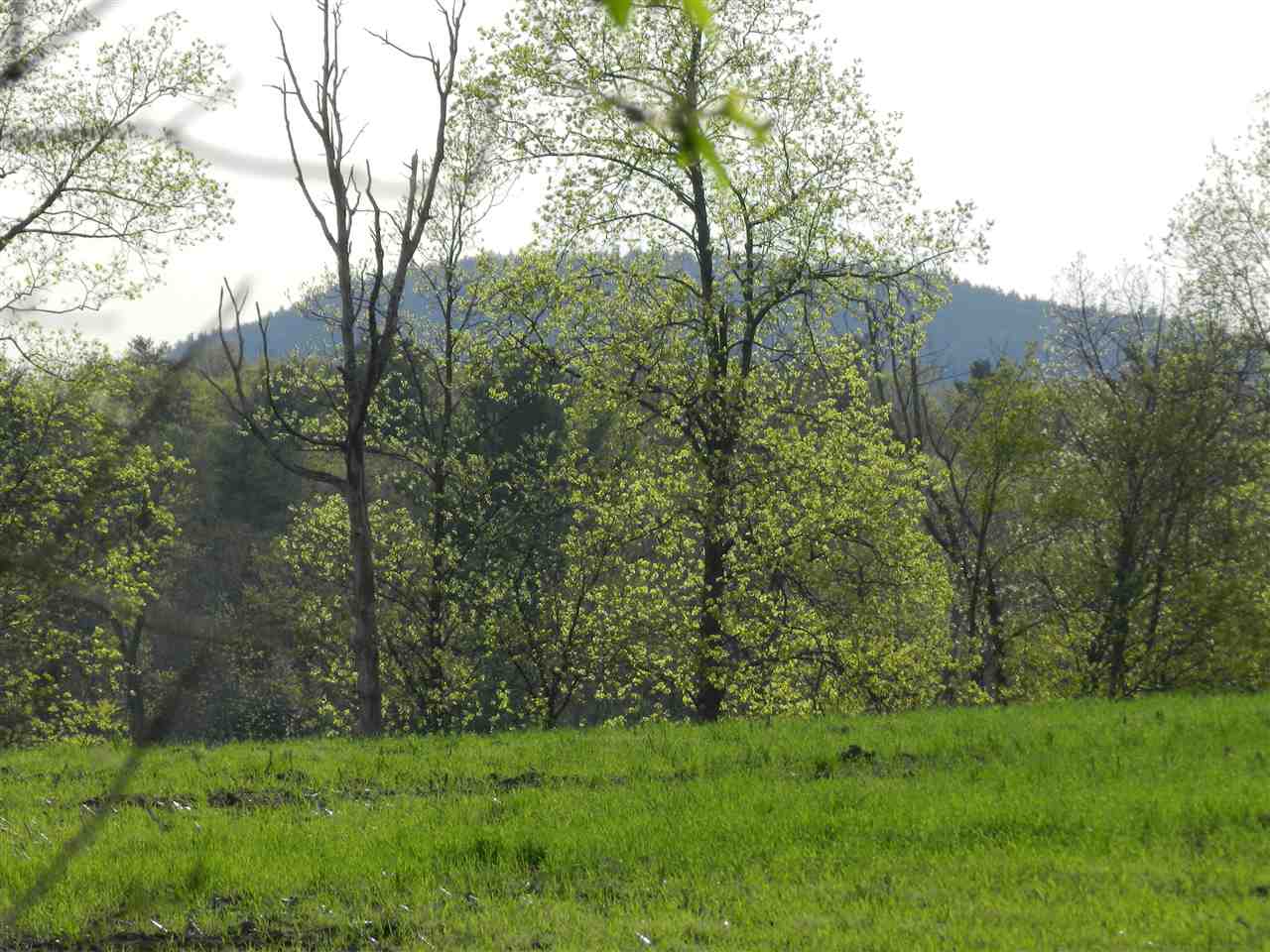 19 Ledge Farm Road Nottingham, NH 03290 - Photo 2 of 8