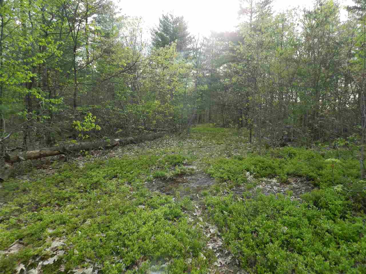 19 Ledge Farm Road Nottingham, NH 03290 - Photo 3 of 8