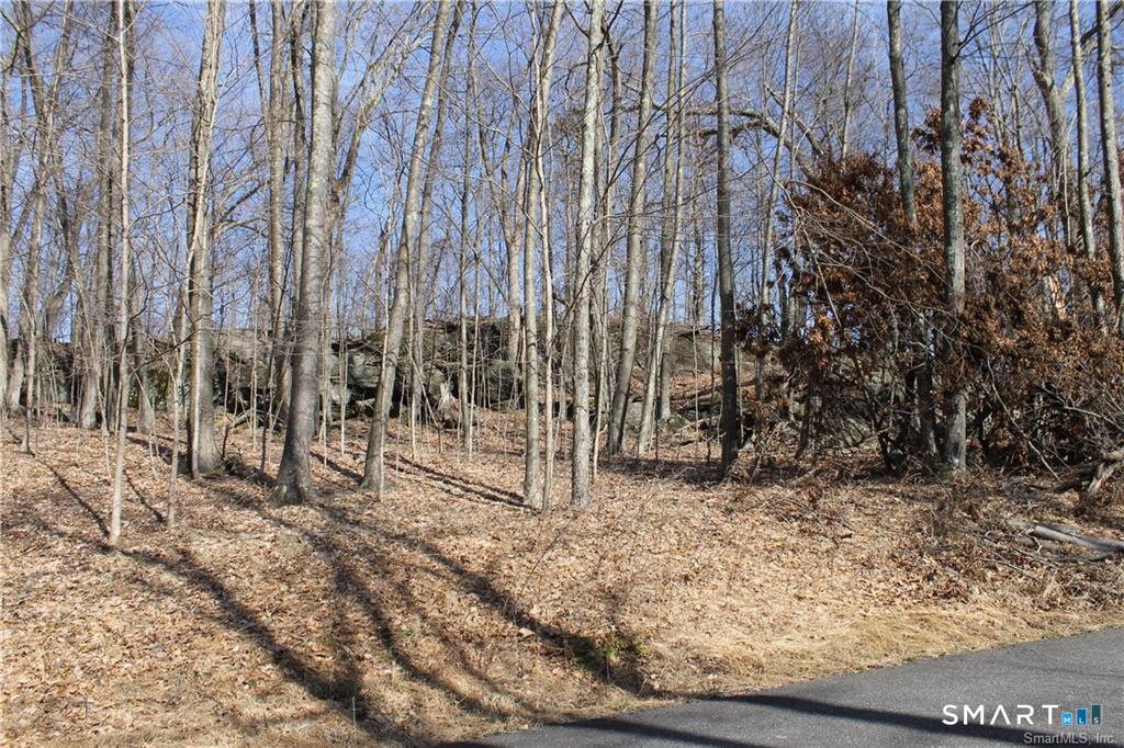 6 Alfredson Road Sherman, CT 06784 - Photo 2 of 9