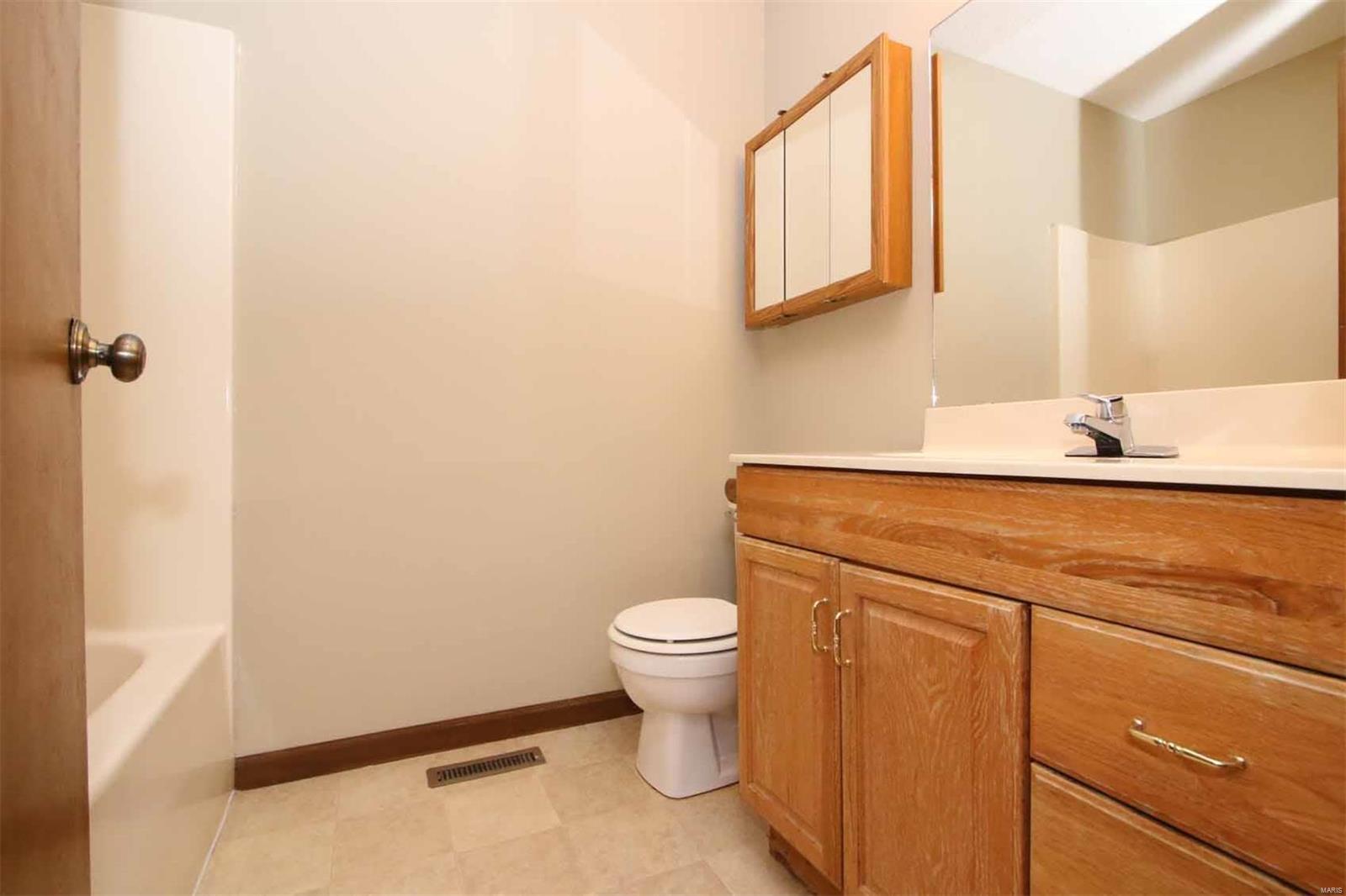 209 Chestnut Court Shiloh, IL 62269 - Photo 34 of 53