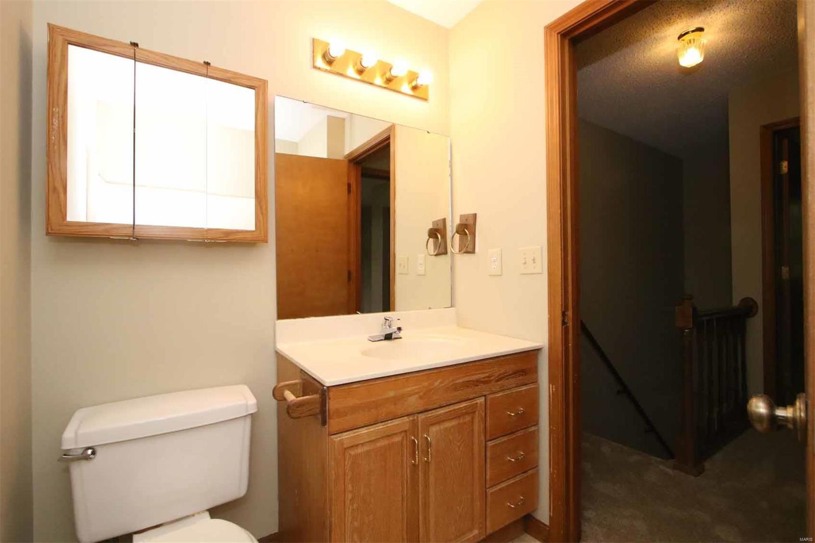 209 Chestnut Court Shiloh, IL 62269 - Photo 36 of 53
