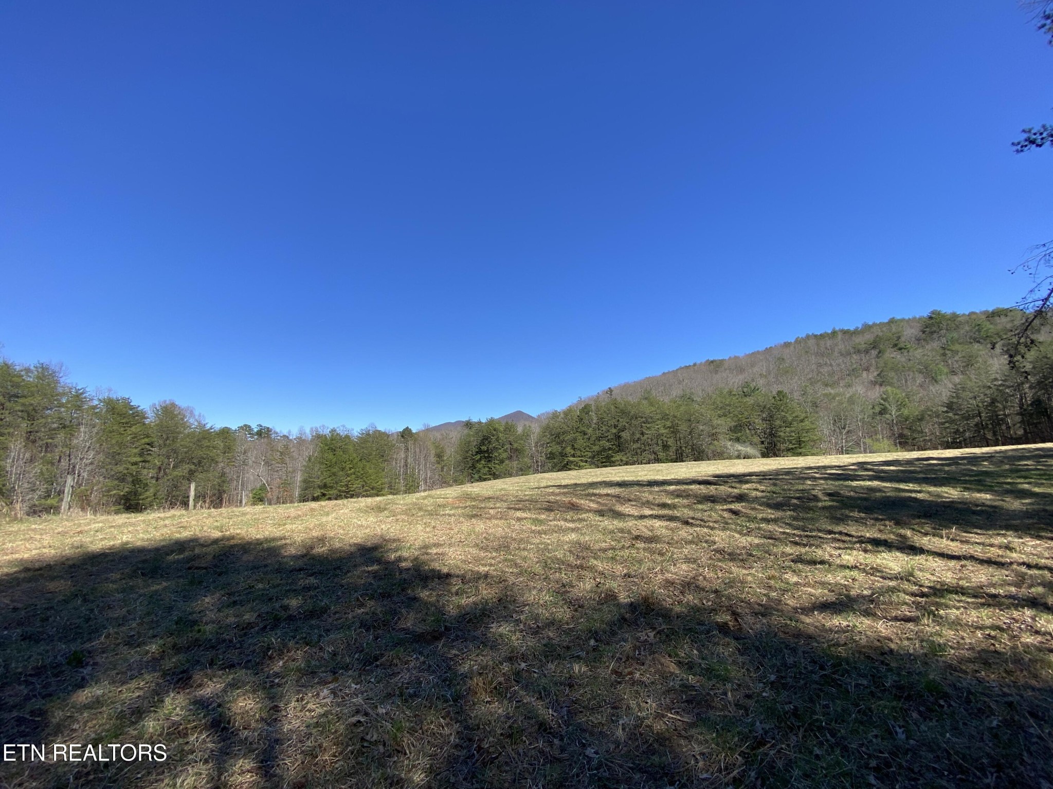 188 Dalton Branch Road Tellico Plains, TN 37385 - Photo 35 of 42