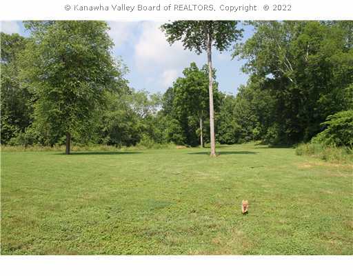 3700 Hurricane Creek Road Winfield, WV 25213 - Photo 7 of 15 Land.