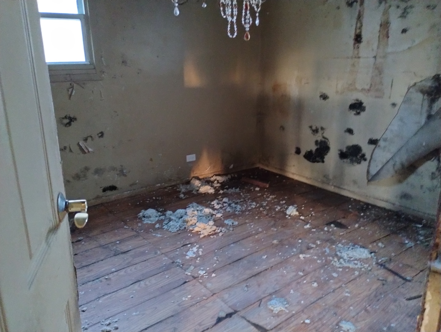 339 Onarga Street Park Forest, IL 60466 - Photo 11 of 18