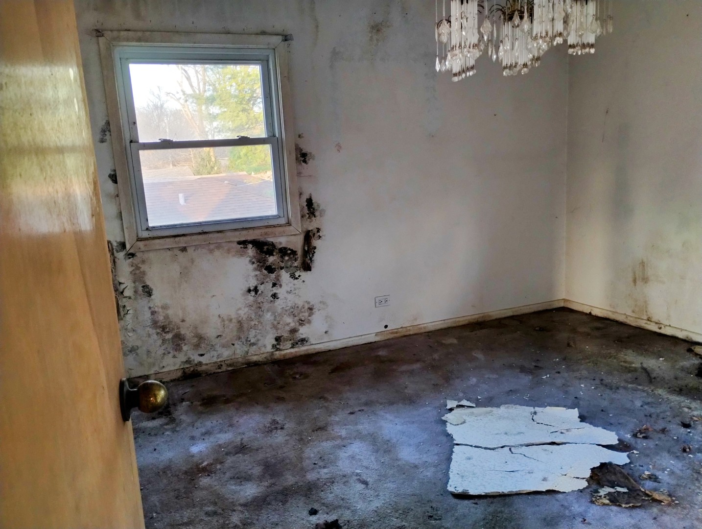 339 Onarga Street Park Forest, IL 60466 - Photo 12 of 18