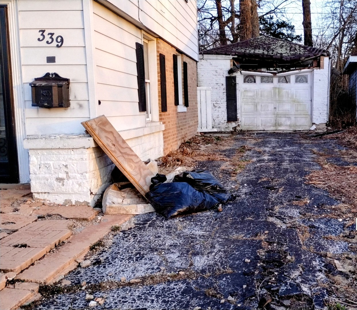 339 Onarga Street Park Forest, IL 60466 - Photo 17 of 18