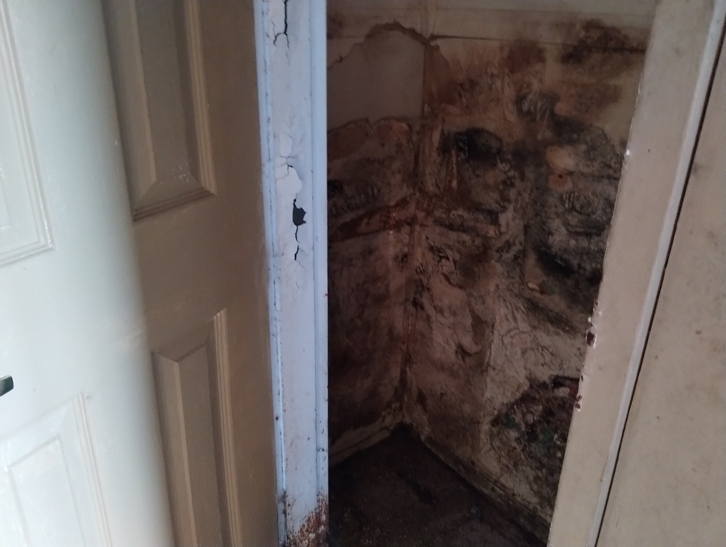 339 Onarga Street Park Forest, IL 60466 - Photo 4 of 18