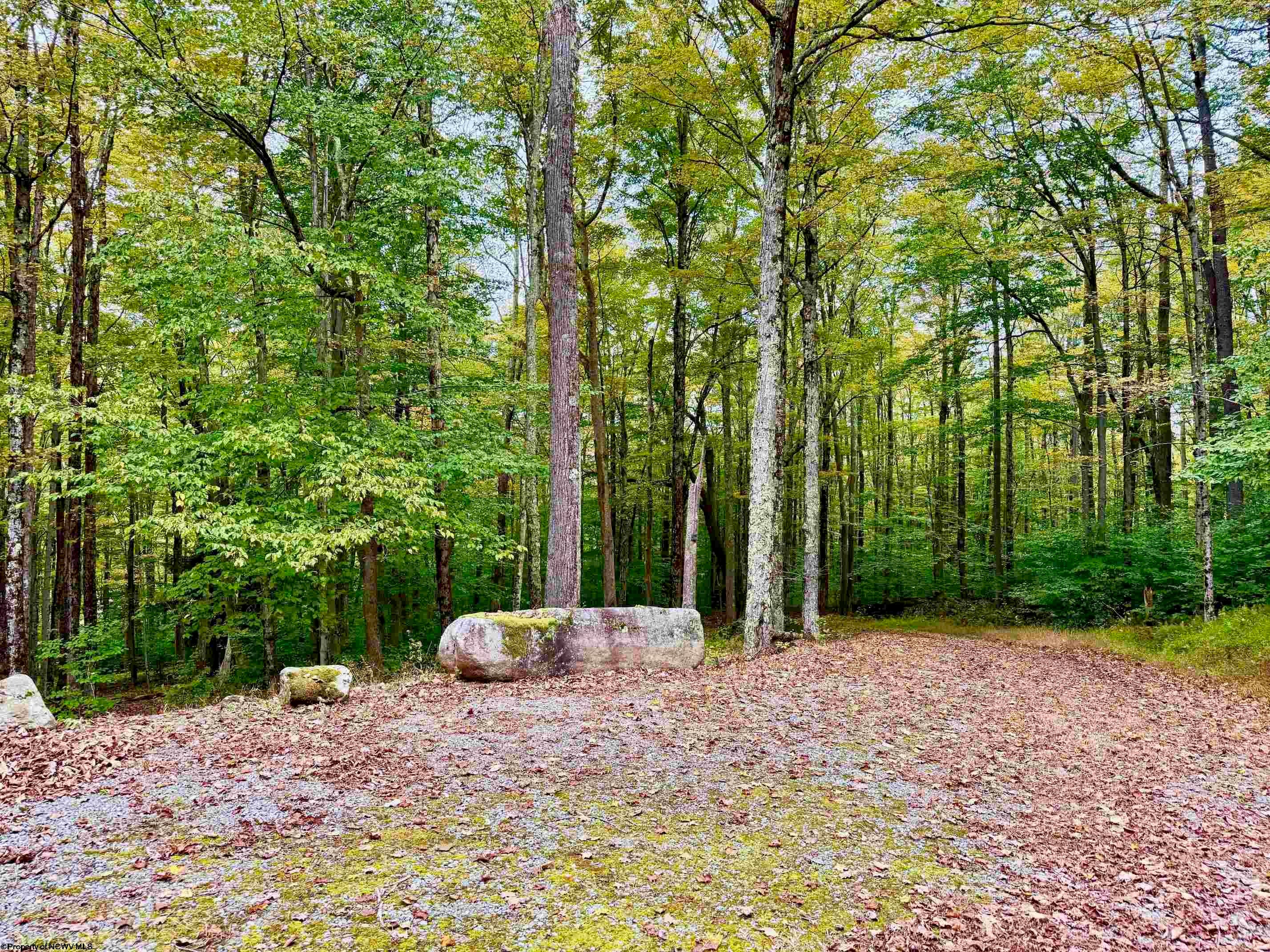 920 Sand Run Road Davis, WV 26260 - Photo 42 of 43 Gallery Image 42