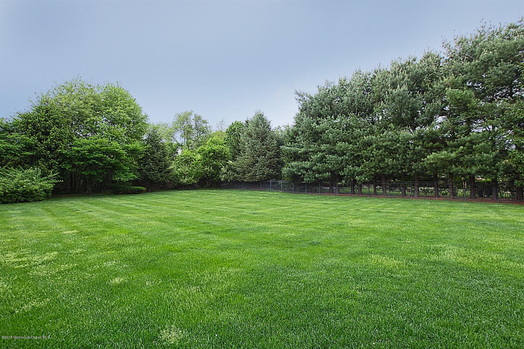 48 Rivers Edge Drive Colts Neck, NJ 07722 - Photo 46 of 52 053_Backyard
