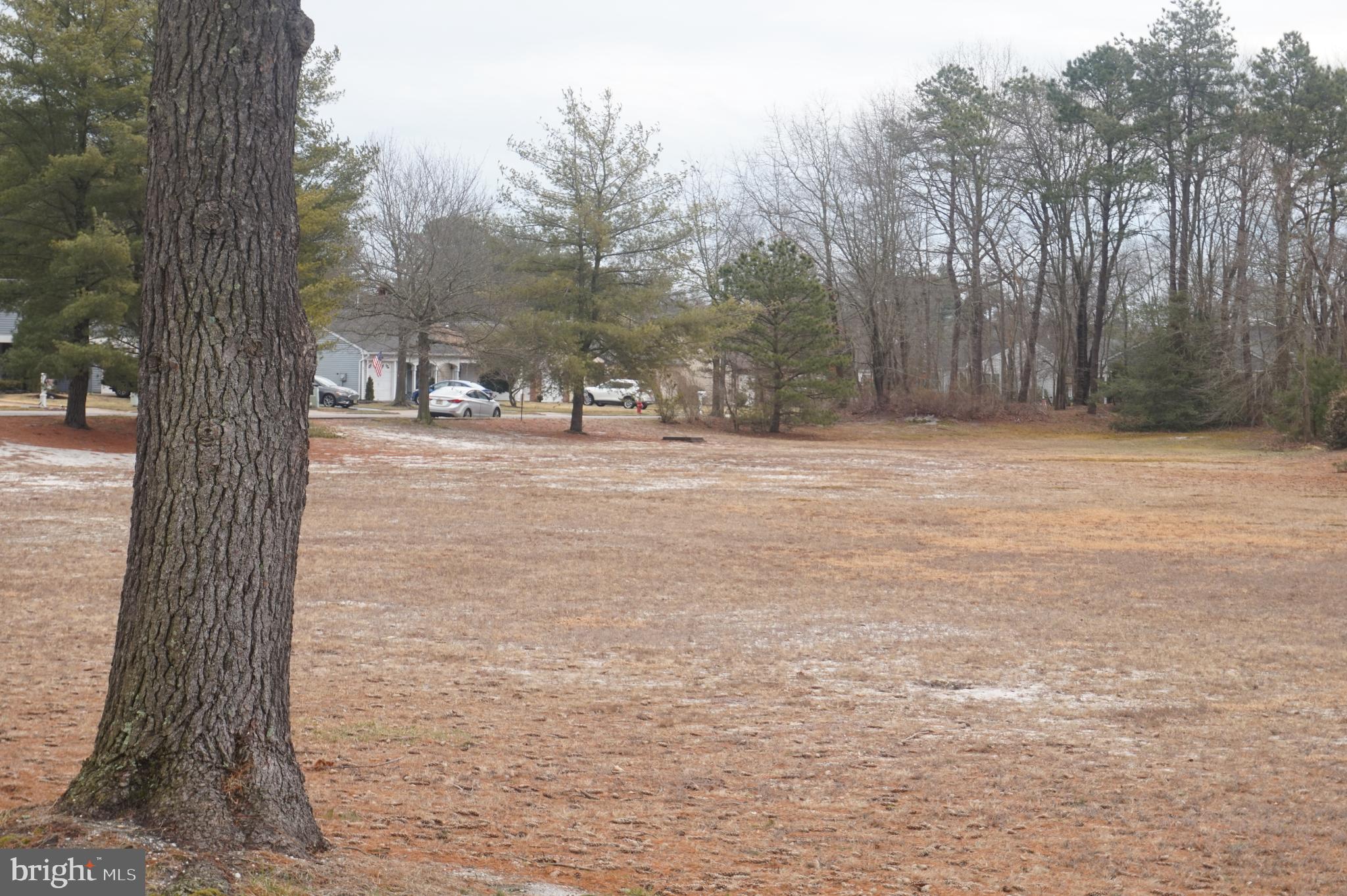 56 Stratford Road Southampton, NJ 08088 - Photo 17 of 18 Private Lot