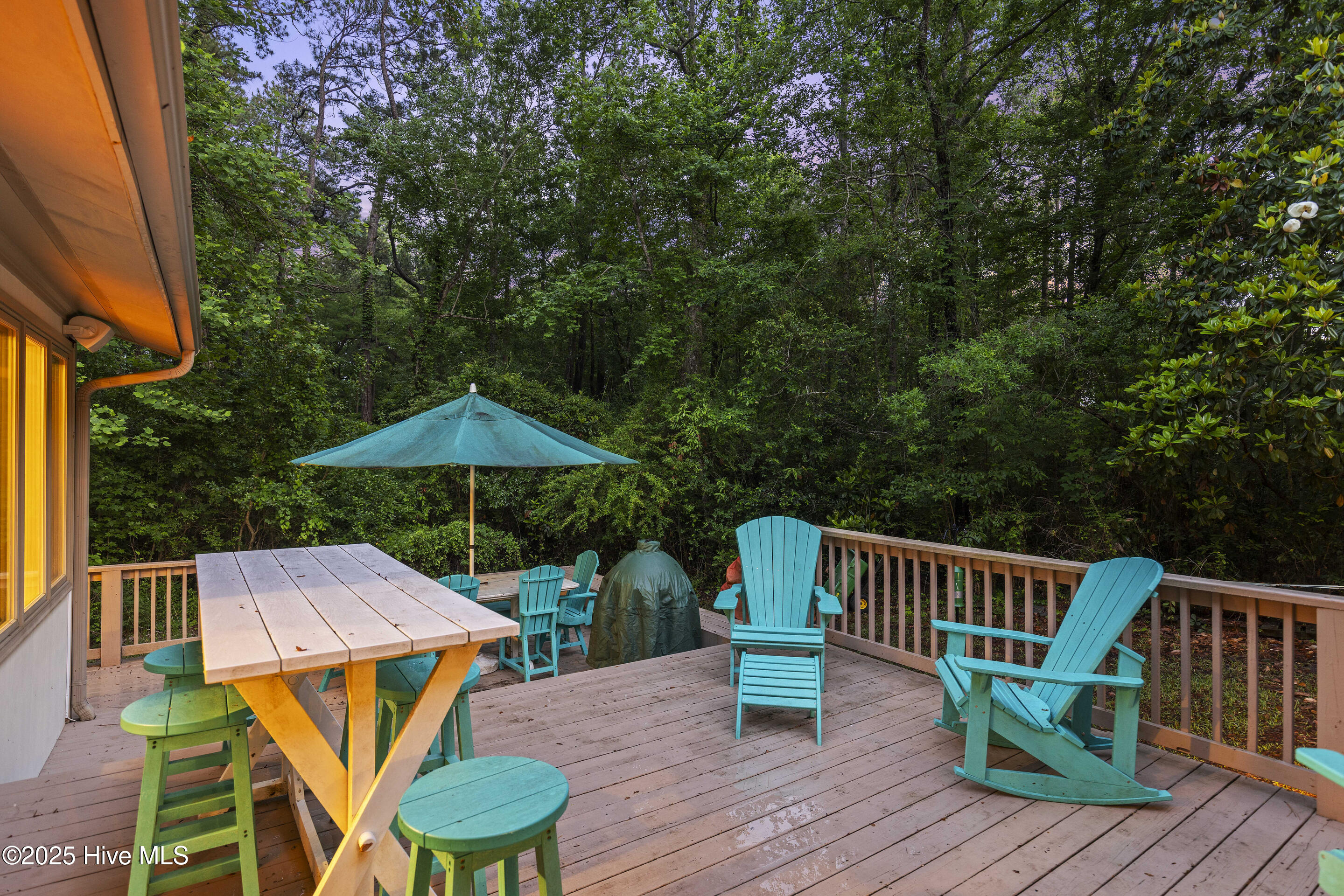 221 Quail Ridge Road Wilmington, NC 28409 - Photo 87 of 95 mls-IMG_6362