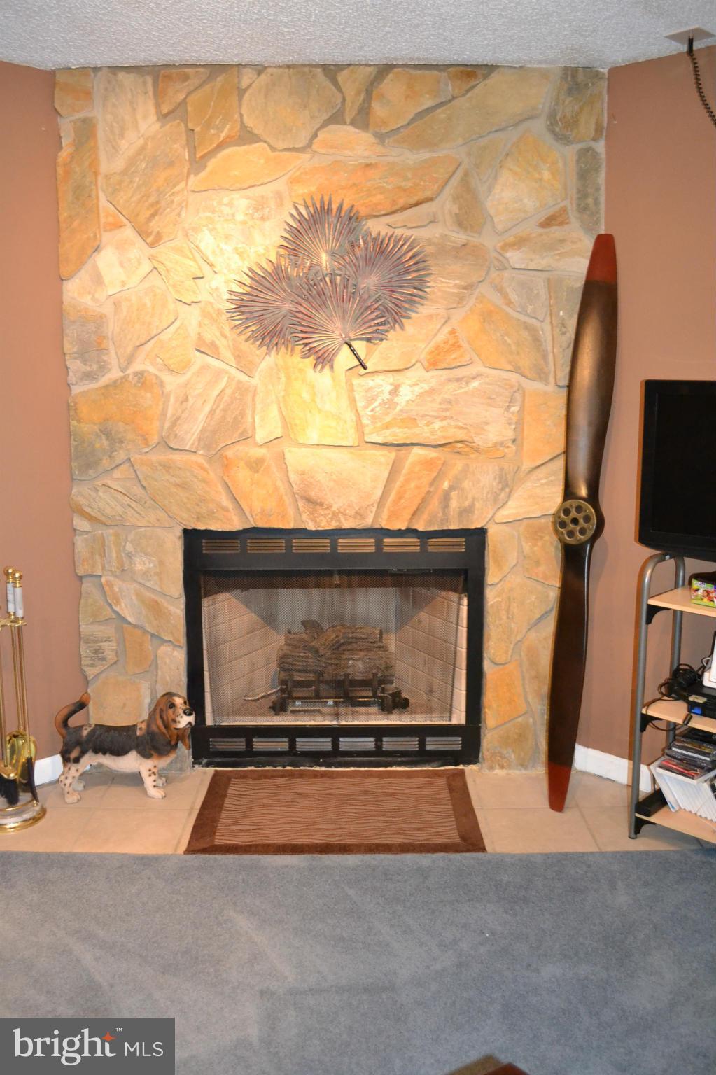 362 McCarty Road Fredericksburg, VA 22405 - Photo 20 of 30 Basement2